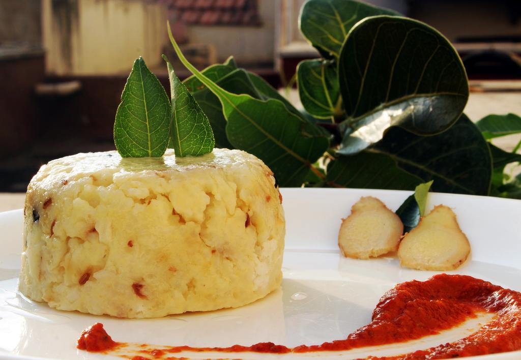 Hm Suites & Studios Bengaluru Zewnętrze zdjęcie